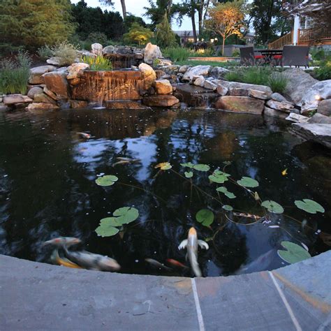 The Essentials of Koi Pond Design & Maintenance in Northern Virginia ...