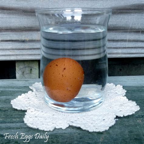 The Float Test: How Old is That Egg? Easy Test for Freshness | Fresh Eggs Daily®