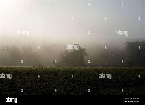 Fall colors in Vermont Stock Photo - Alamy