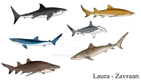 Colored sharks by zavraan on DeviantArt