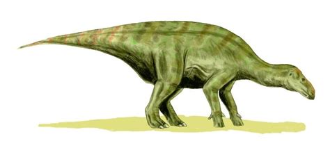 Iguanodon Pictures & Facts - The Dinosaur Database