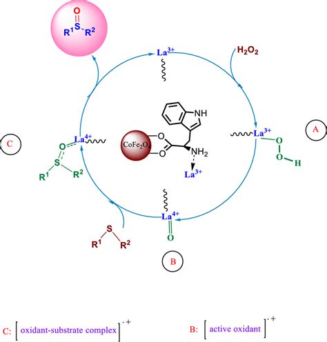 A plausible mechanism for sulfoxide formation reactions using H2O2 ...