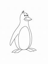 Penguin coloring page sketch template