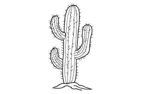 Cactus Sketch. Desert Plant with Sharp T Graphic by onyxproj · Creative ...