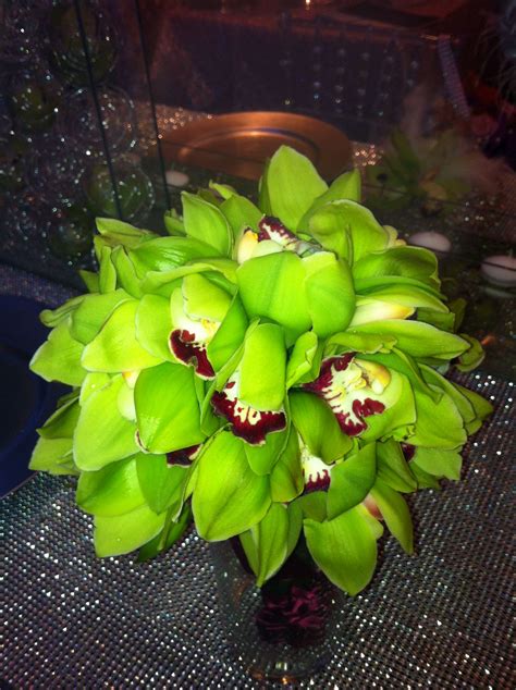 Green Orchids Green Orchid, Bouquets, Different Colors, Orchids, Plants, Bouquet, Bouquet Of ...