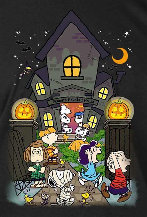 Pin by Diana on Snoopy | Snoopy halloween, Charlie brown halloween, Snoopy pictures