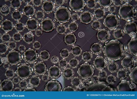 Bubbles of Beer Foam Under a Microscope Stock Image - Image of design ...