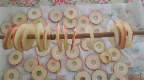 Sliced & dried apple snacks - Carmela's Kitchen