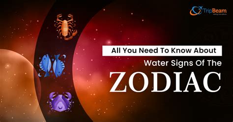 All You Need To Know About Water Signs Of The Zodiac - TripBeam Blog