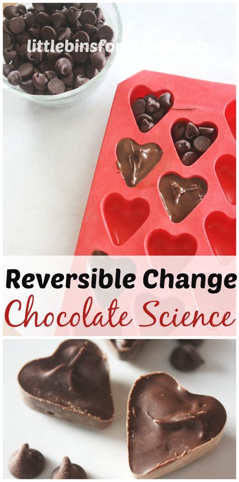 Chocolate Science Activity Reversible Change Food Science | Science ...