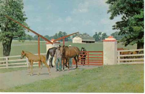 Horse Country Chic: Calumet Farm