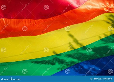 Rainbow Flag during Pride Parade with a Tree Shadow Stock Image - Image ...