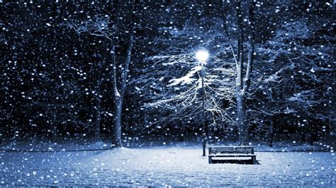 Wallpaper : trees, night, snow, winter, lantern, ice, cold, frost ...