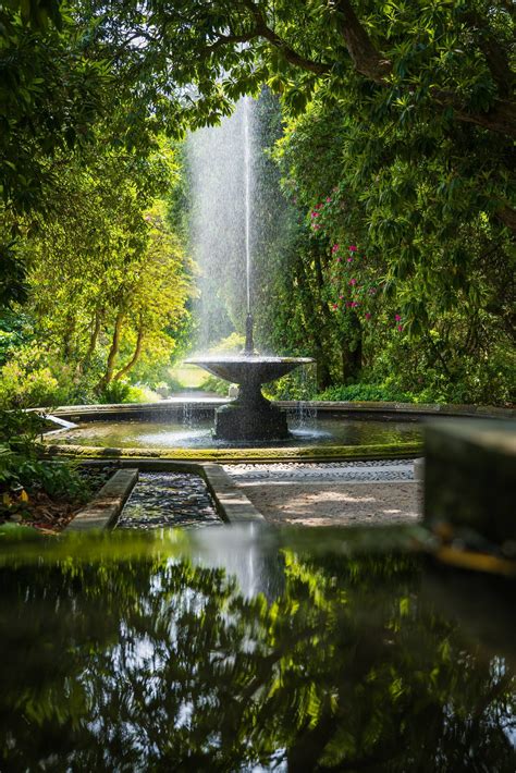 Map to Fountain of Youth discovered! | The Journal of the San Juan Islands