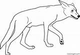Coyote Coloring Pages 20 Free Printables  ColoringAll sketch template