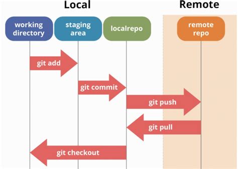 Git, GitHub, & Workflow Fundamentals - DEV Community