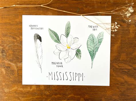 Mississippi State Bird State Tree State Flower Art Print - Etsy