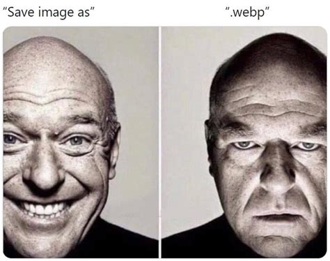 “Save image as” / “.webp” | WebP | Know Your Meme