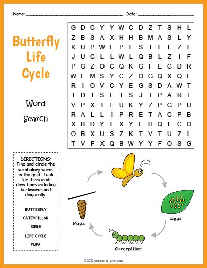 Butterfly Life Cycle Word Search