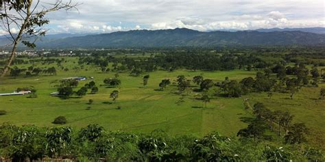 Huila | Colombia Reports