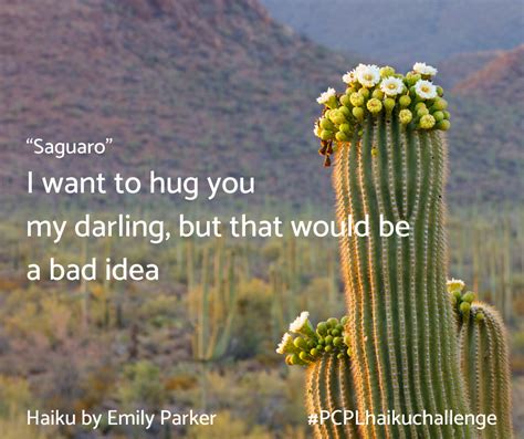 PCPL Haiku Challenge: Your poems about springtime | Pima County Public ...