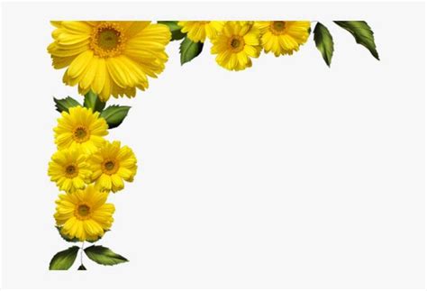 Marigold Clipart Border - Yellow Flowers Border Png PNG Image ...