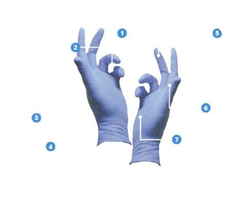 Bulk Nitrile Gloves | Gloves, Nitrile gloves, Disposable gloves