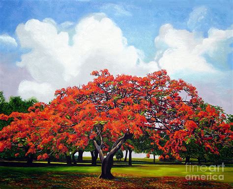 Flamboyan Painting by Jose Manuel Abraham - Pixels