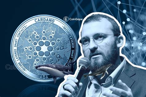 Has Hydra Failed? Cardano Founder Addresses Misinformation On Hydra Scaling