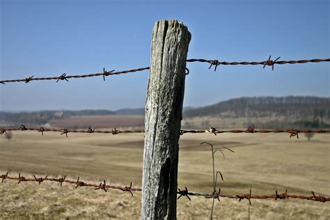 Free Images : landscape, nature, barbed wire, post, wood, field, meadow, spring, pasture ...