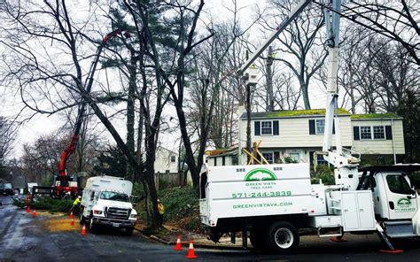 Removing Trees in Narrow, Tight or Hard-to-Reach Spaces - Green Vista Tree Care