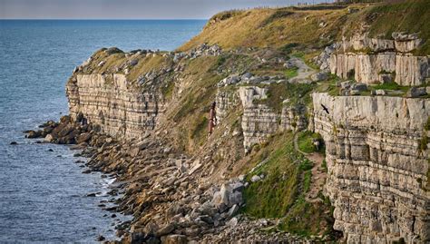 What Is a Pliosaur? Exciting Fossil Discovery in Dorset | Canada News Media