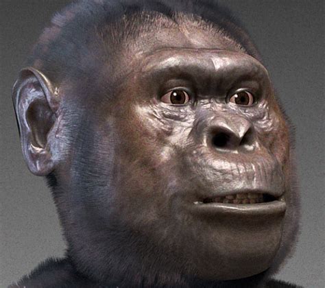 Australopithecus Fossils from Sterkfontein Caves are Much Older Than Previously Thought | Sci.News