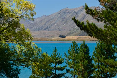 Lake Tekapo - Path Around The World