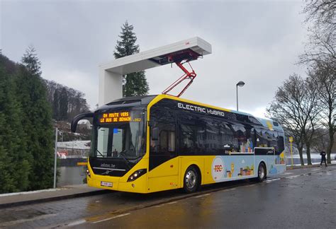 Belgian cities invest in electric hybrid bus fleets - Cities Today