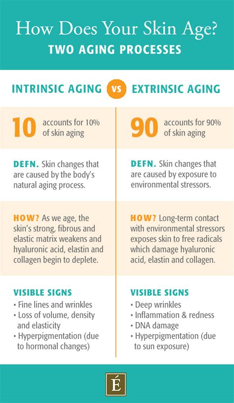 What Causes Wrinkled Skin? How The Environment Ages You | Eminence Organic Skin Care