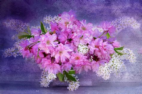 Pink Flowers Photograph by Dawn Van Doorn | Fine Art America