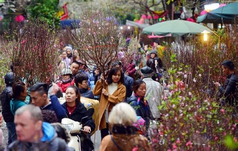 Ha Noi to open 51 spring flower markets ahead of Tet - Viet Nam National Authority of Tourism