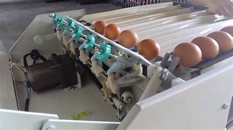 Machine Egg Size Grading - YouTube