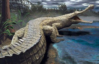 Sarcosuchus Dinosaur, history | facts - Dinosaur encyclopedia