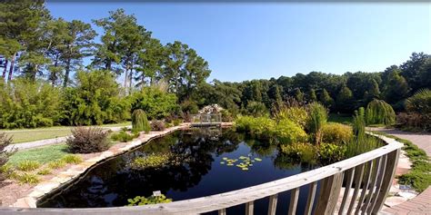 SMS Spotlight: Coastal Georgia Botanical Gardens – Georgia History Festival