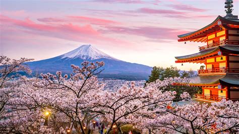 Japan in April: The Ultimate Guide to Planning Your Trip