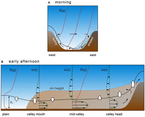 Vertical cross sections of thermal wind circulation and CBL structure... | Download Scientific ...