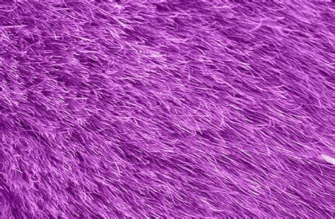 Free Fur Texture Stock Photo - FreeImages.com