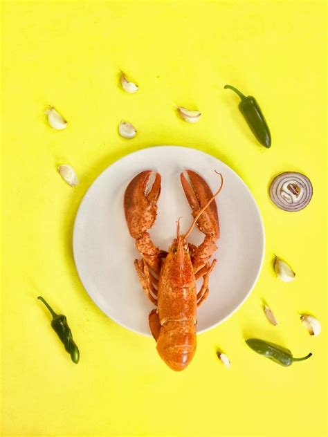 Lobster on Round White Ceramic Plate · Free Stock Photo