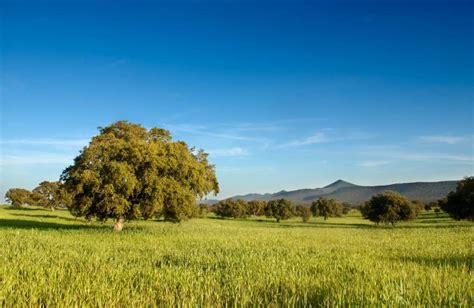 10 Reasons to Visit Extremadura, Spain (Before Everyone Else)