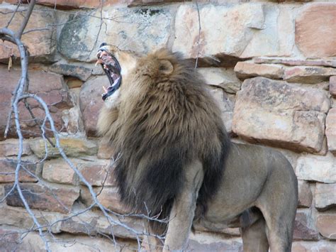 SECO NEWS - Fort Worth Zoo Animals from December 2006 - Photo Showcase