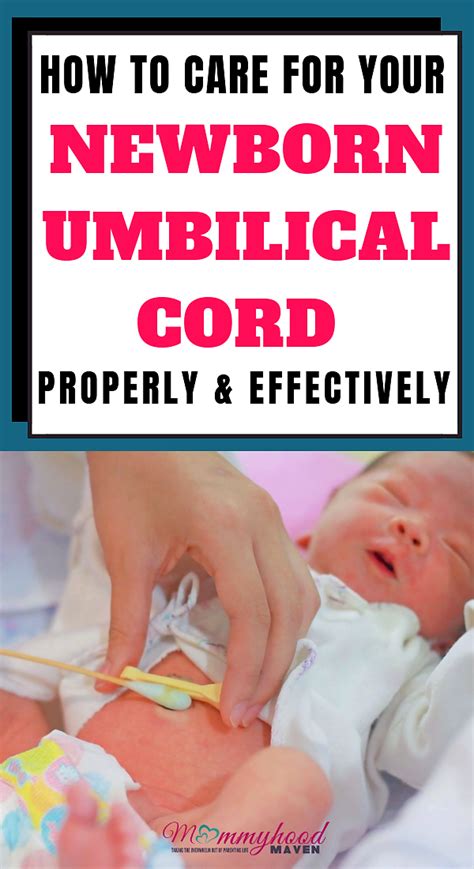 BEST WAY TO CARE FOR YOUR NEWBORN BABY'S UMBILICAL CORD - Mommyhood Maven | Baby umbilical cord ...