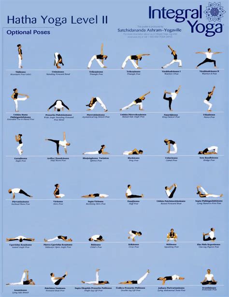 hatha yoga level 1 - Google-haku Iyengar Yoga, Ashtanga Yoga, Vinyasa Yoga, Hatha Yoga Sequence ...