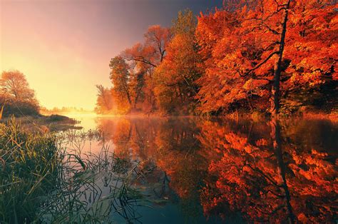 2560x1700 Trees Fall Reflection Autumn 4k Chromebook Pixel ,HD 4k Wallpapers,Images,Backgrounds ...